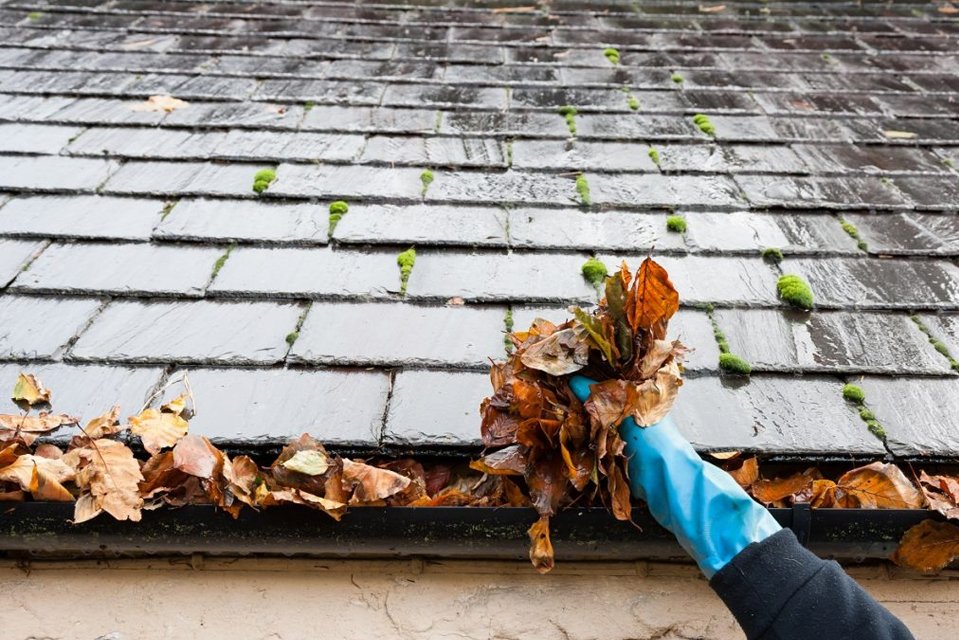 gutter cleaning services
