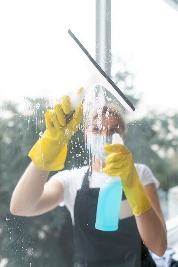 cleaning services Hoxton Park